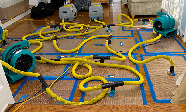 Professional Crawl Space Water Removal technician working in Milford Square, PA
